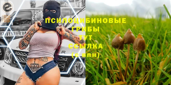 ALPHA-PVP Верхний Тагил