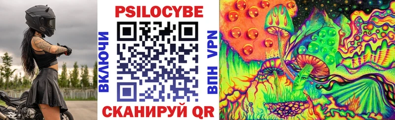 Галлюциногенные грибы Psilocybine cubensis  Сосногорск 