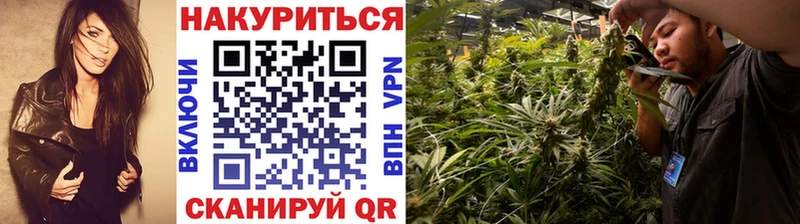 Бошки марихуана сатива  Сосногорск 